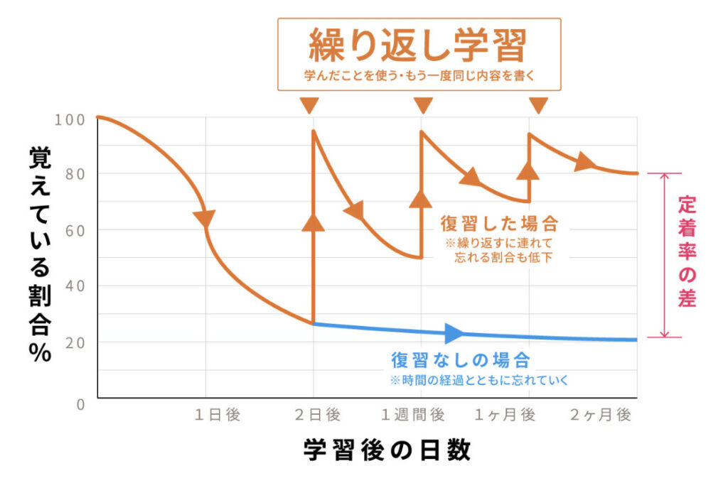 記憶の忘却曲線の図解